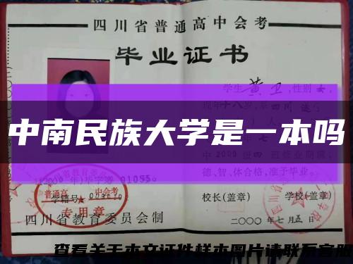 中南民族大学是一本吗缩略图