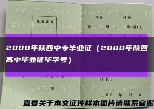 2000年陕西中专毕业证（2000年陕西高中毕业证毕字号）缩略图