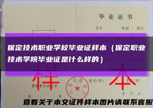保定技术职业学校毕业证样本（保定职业技术学院毕业证是什么样的）缩略图