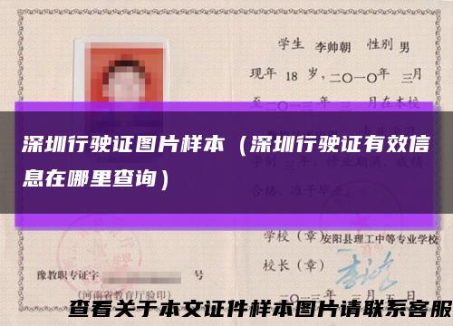 深圳行驶证图片样本（深圳行驶证有效信息在哪里查询）缩略图