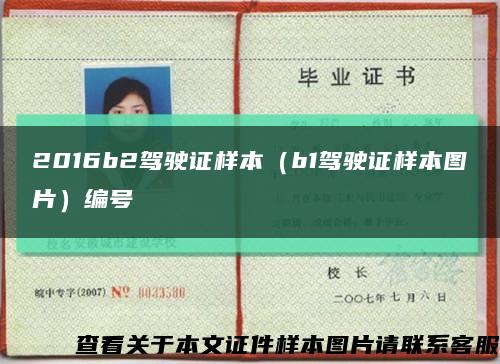 2016b2驾驶证样本（b1驾驶证样本图片）编号缩略图