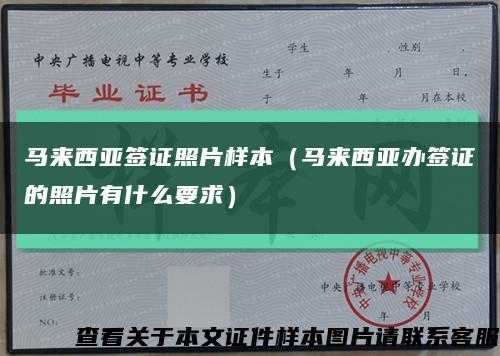 马来西亚签证照片样本（马来西亚办签证的照片有什么要求）缩略图