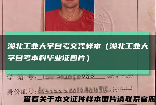 湖北工业大学自考文凭样本（湖北工业大学自考本科毕业证图片）缩略图