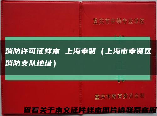 消防许可证样本 上海奉贤（上海市奉贤区消防支队地址）缩略图