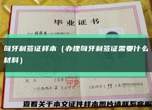 匈牙利签证样本（办理匈牙利签证需要什么材料）缩略图