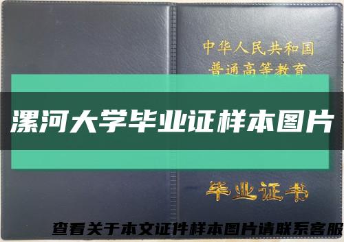 漯河大学毕业证样本图片缩略图