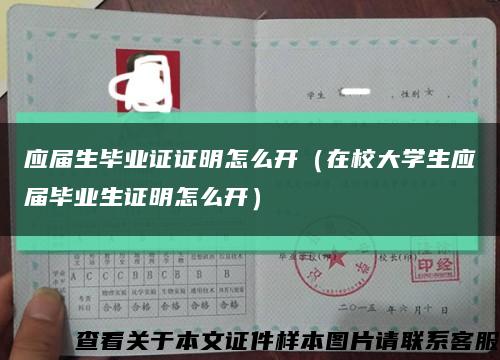 应届生毕业证证明怎么开（在校大学生应届毕业生证明怎么开）缩略图
