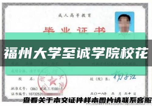 福州大学至诚学院校花缩略图