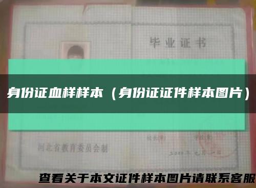 身份证血样样本（身份证证件样本图片）缩略图