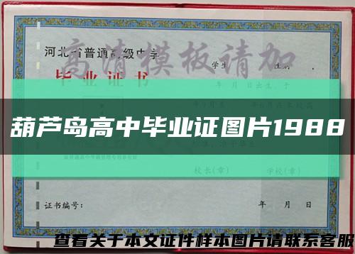 葫芦岛高中毕业证图片1988缩略图