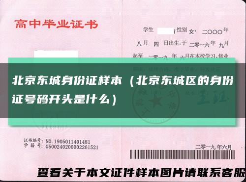 北京东城身份证样本（北京东城区的身份证号码开头是什么）缩略图