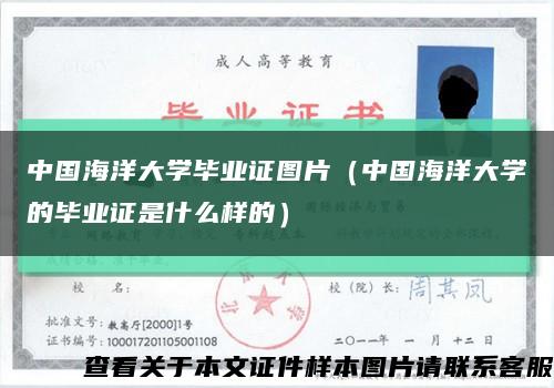 中国海洋大学毕业证图片（中国海洋大学的毕业证是什么样的）缩略图