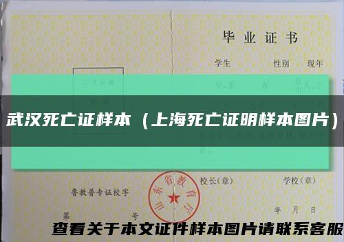 武汉死亡证样本（上海死亡证明样本图片）缩略图