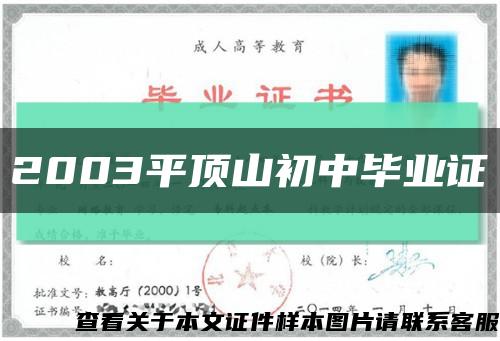 2003平顶山初中毕业证缩略图