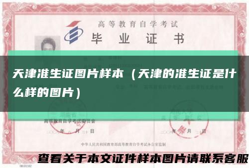 天津准生证图片样本（天津的准生证是什么样的图片）缩略图