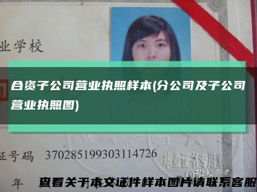 合资子公司营业执照样本(分公司及子公司营业执照图)缩略图