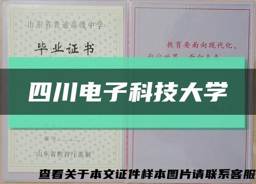 四川电子科技大学缩略图