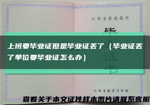 上班要毕业证但是毕业证丢了（毕业证丢了单位要毕业证怎么办）缩略图