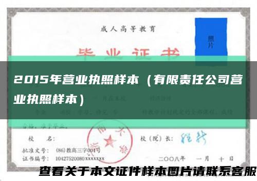 2015年营业执照样本（有限责任公司营业执照样本）缩略图