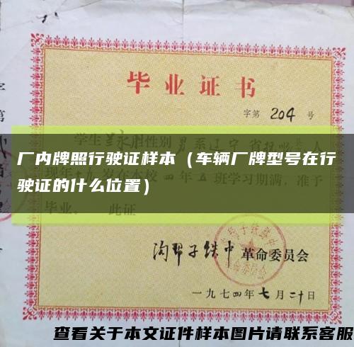 厂内牌照行驶证样本（车辆厂牌型号在行驶证的什么位置）缩略图