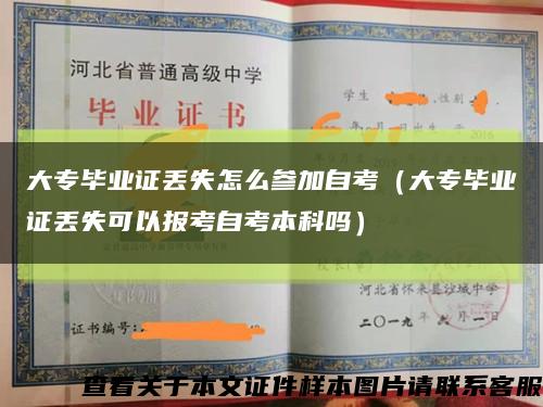大专毕业证丢失怎么参加自考（大专毕业证丢失可以报考自考本科吗）缩略图