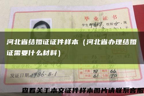 河北省结婚证证件样本（河北省办理结婚证需要什么材料）缩略图