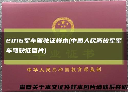 2016军车驾驶证样本(中国人民解放军军车驾驶证图片)缩略图