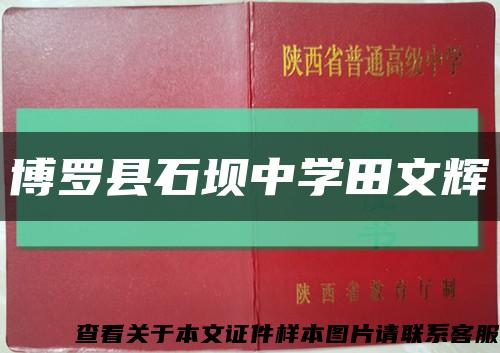 博罗县石坝中学田文辉缩略图