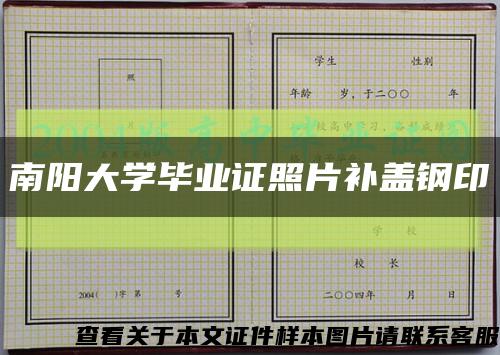 南阳大学毕业证照片补盖钢印缩略图