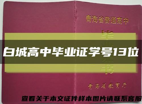 白城高中毕业证学号13位缩略图