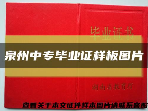 泉州中专毕业证样板图片缩略图
