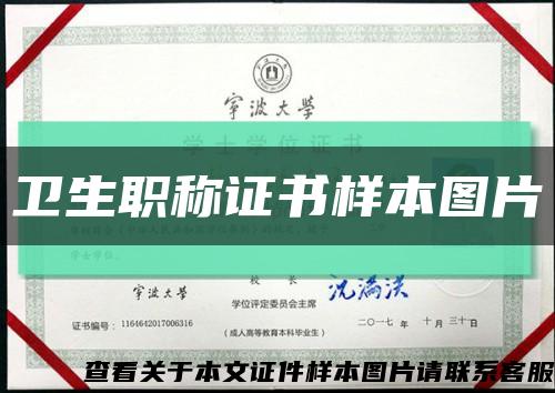 卫生职称证书样本图片缩略图