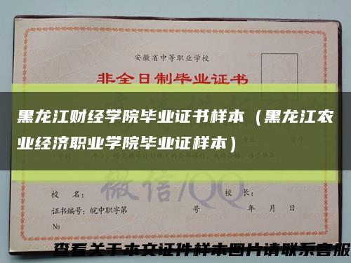 黑龙江财经学院毕业证书样本（黑龙江农业经济职业学院毕业证样本）缩略图