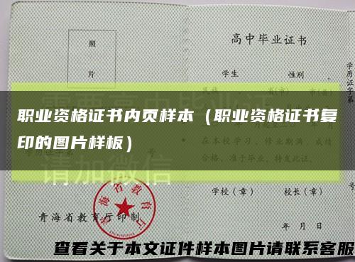 职业资格证书内页样本（职业资格证书复印的图片样板）缩略图
