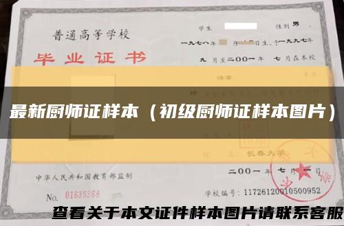 最新厨师证样本（初级厨师证样本图片）缩略图