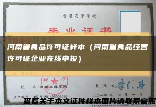 河南省食品许可证样本（河南省食品经营许可证企业在线申报）缩略图