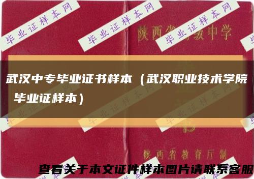 武汉中专毕业证书样本（武汉职业技术学院 毕业证样本）缩略图