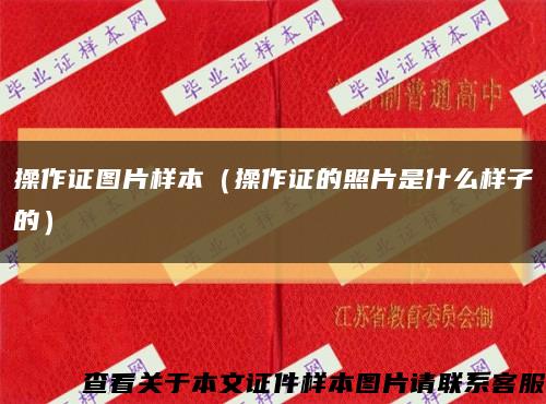 操作证图片样本（操作证的照片是什么样子的）缩略图