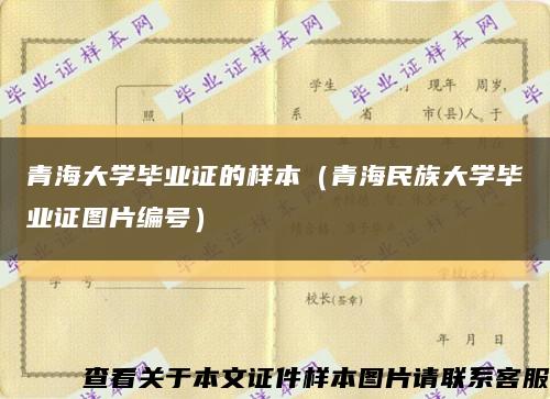 青海大学毕业证的样本（青海民族大学毕业证图片编号）缩略图