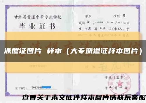 派遣证图片 样本（大专派遣证样本图片）缩略图