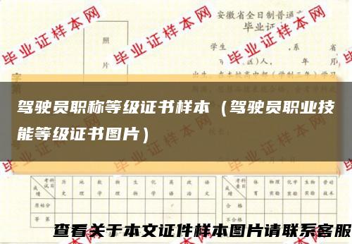 驾驶员职称等级证书样本（驾驶员职业技能等级证书图片）缩略图