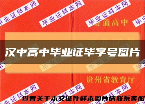 汉中高中毕业证毕字号图片缩略图
