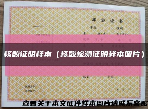 核酸证明样本（核酸检测证明样本图片）缩略图