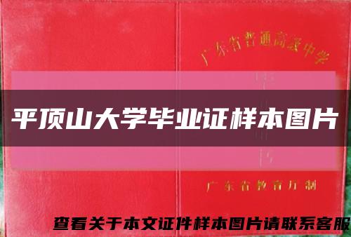 平顶山大学毕业证样本图片缩略图