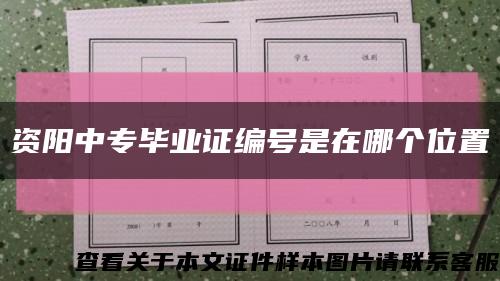 资阳中专毕业证编号是在哪个位置缩略图