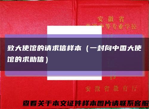 致大使馆的请求信样本（一封向中国大使馆的求助信）缩略图