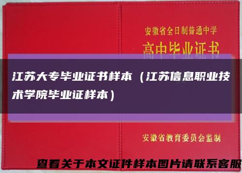 江苏大专毕业证书样本（江苏信息职业技术学院毕业证样本）缩略图