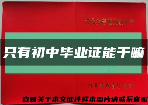 只有初中毕业证能干嘛缩略图