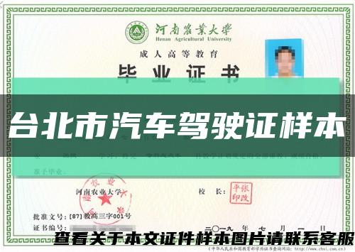 台北市汽车驾驶证样本缩略图