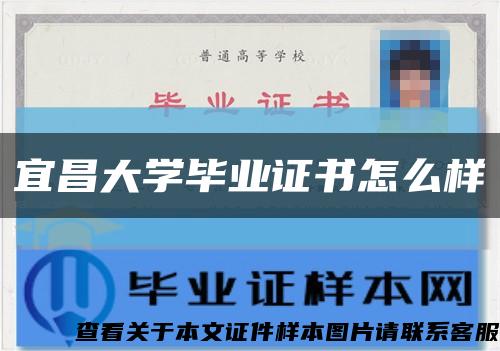 宜昌大学毕业证书怎么样缩略图